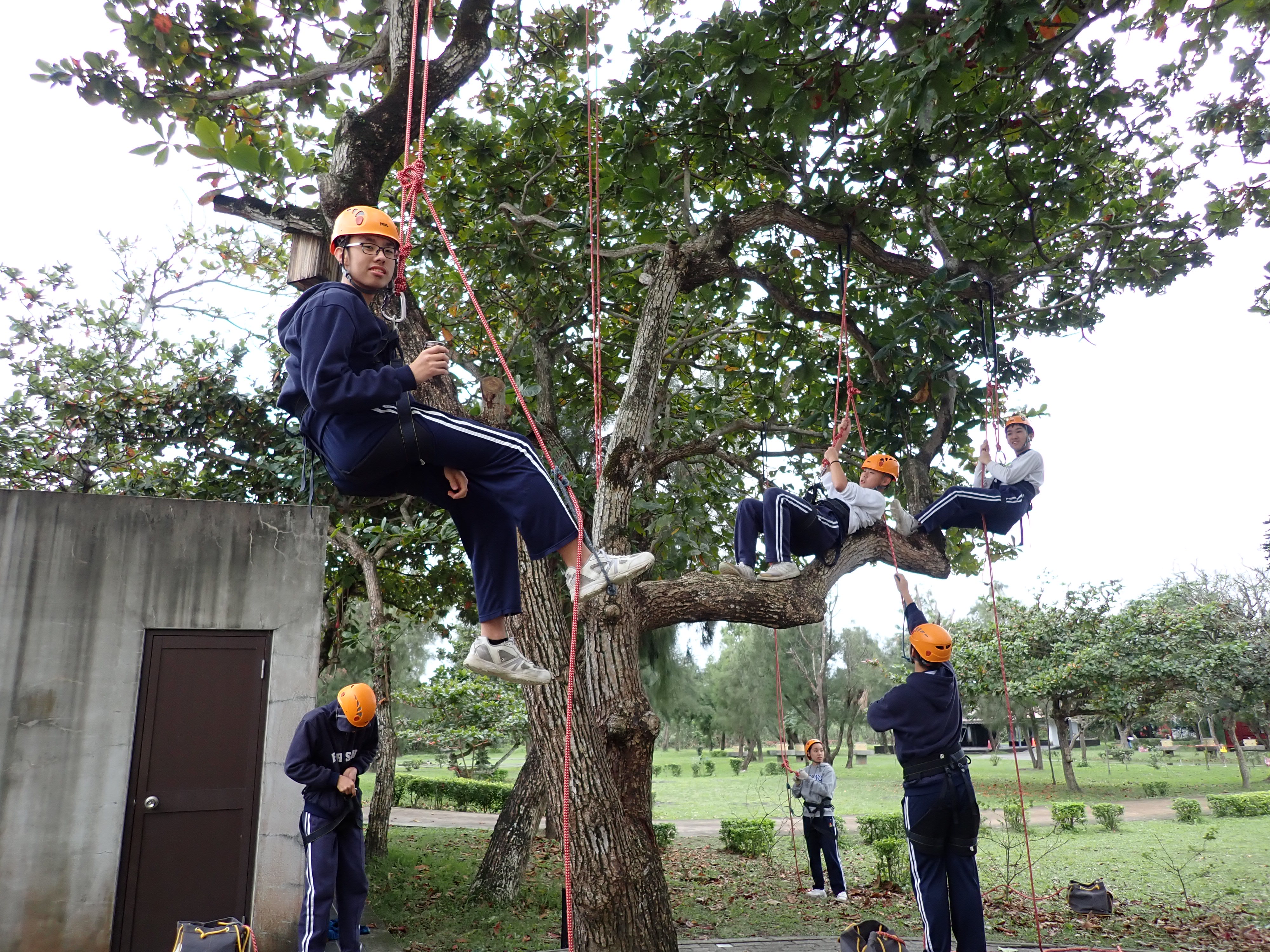 十年級-Tree Climbing