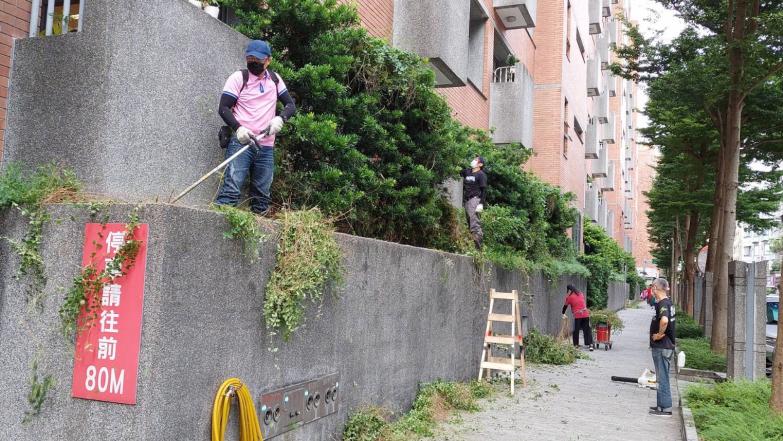 外部花台植栽修剪