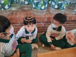 蛇類大驚奇