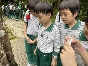 悠遊森活