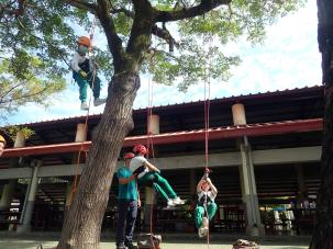  四年級攀樹趣課程花絮