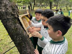 五年級工具達人課程花絮