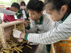 五年級工具達人課程花絮