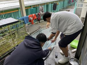 莉丰慧民V