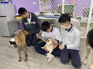 莉丰慧民V