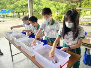 五年級紙箱船 課程花絮