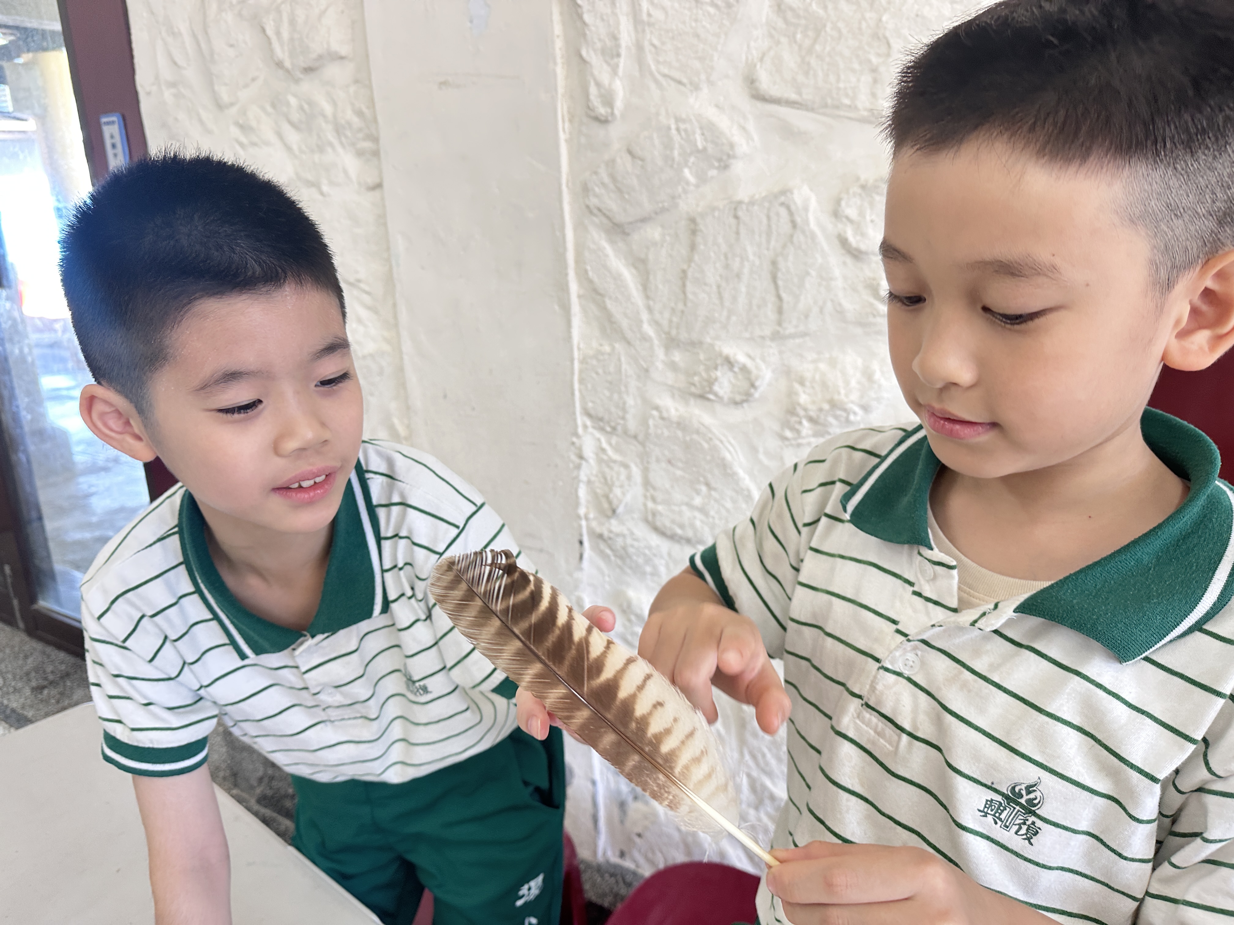 三年級-飛鳥尋奇