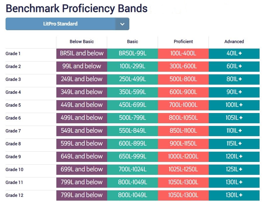 litpro benchmark